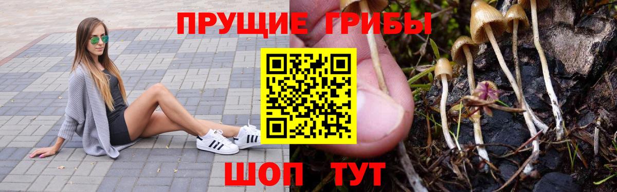 Псилоцибиновые грибы GOLDEN TEACHER Соликамск
